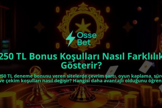 250-TL-Bonus-Kosullari-Nasil-Farklilik-Gosterir-overlay-1786650044.jpg